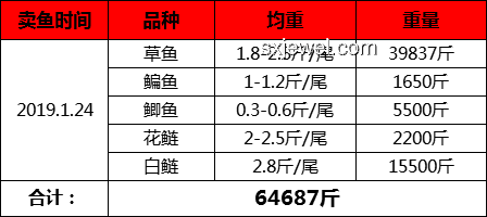 幸运食客中奖案例分析：男子吃面中66666元与常规消费对比